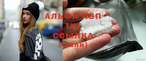 ПСИЛОЦИБИНОВЫЕ ГРИБЫ Богданович