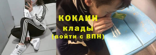 ПСИЛОЦИБИНОВЫЕ ГРИБЫ Богданович
