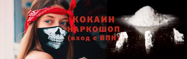ПСИЛОЦИБИНОВЫЕ ГРИБЫ Богданович