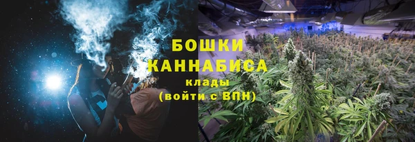 ПСИЛОЦИБИНОВЫЕ ГРИБЫ Богданович