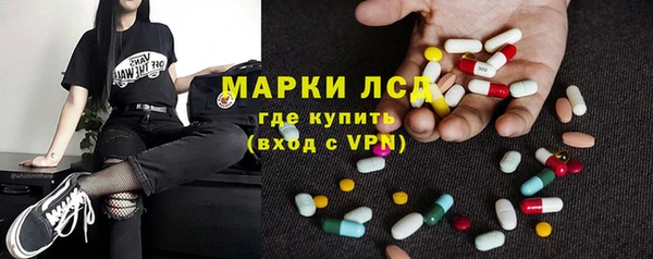 ПСИЛОЦИБИНОВЫЕ ГРИБЫ Богданович