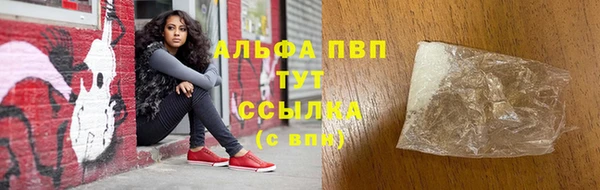 ПСИЛОЦИБИНОВЫЕ ГРИБЫ Богданович