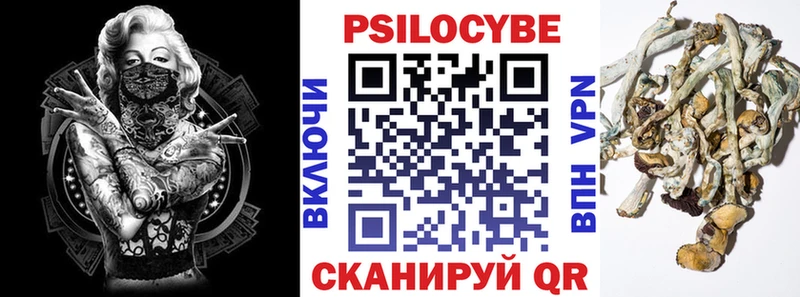 Галлюциногенные грибы прущие грибы  mega зеркало  Кашин 
